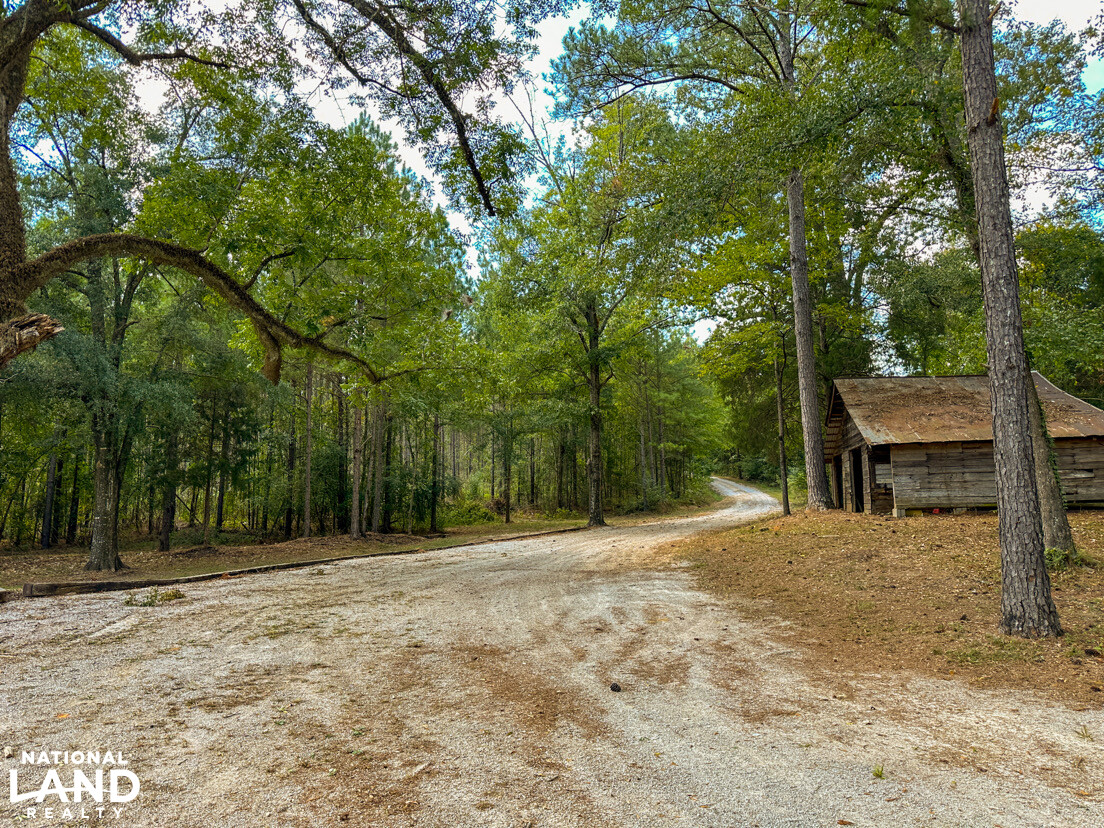 Deer Creek Road Farm, Camp and Timber in Bibb County, AL (19 of 75)