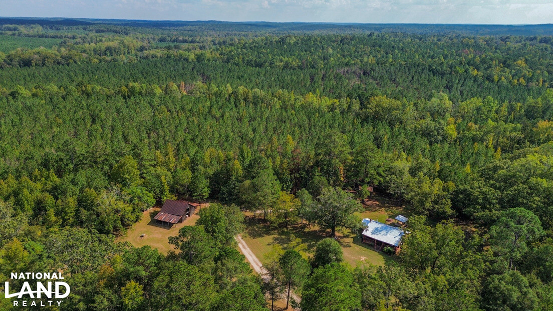 Deer Creek Road Farm, Camp and Timber in Bibb County, AL (74 of 75)