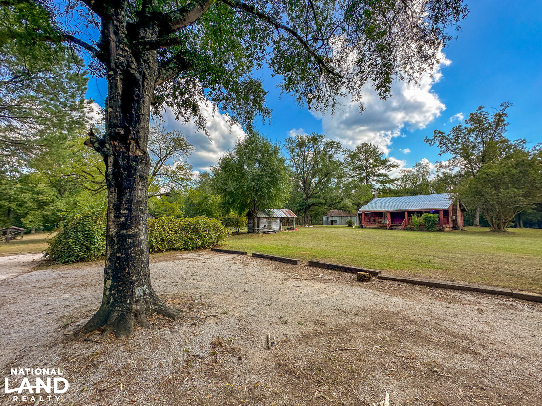Deer Creek Road Farm, Camp and Timber in Bibb County, AL (21 of 75)