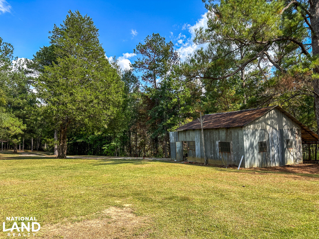 Deer Creek Road Farm, Camp and Timber in Bibb County, AL (20 of 75)