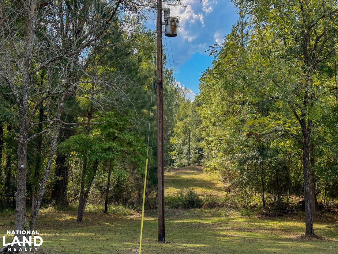 Deer Creek Road Farm, Camp and Timber in Bibb County, AL (67 of 75)