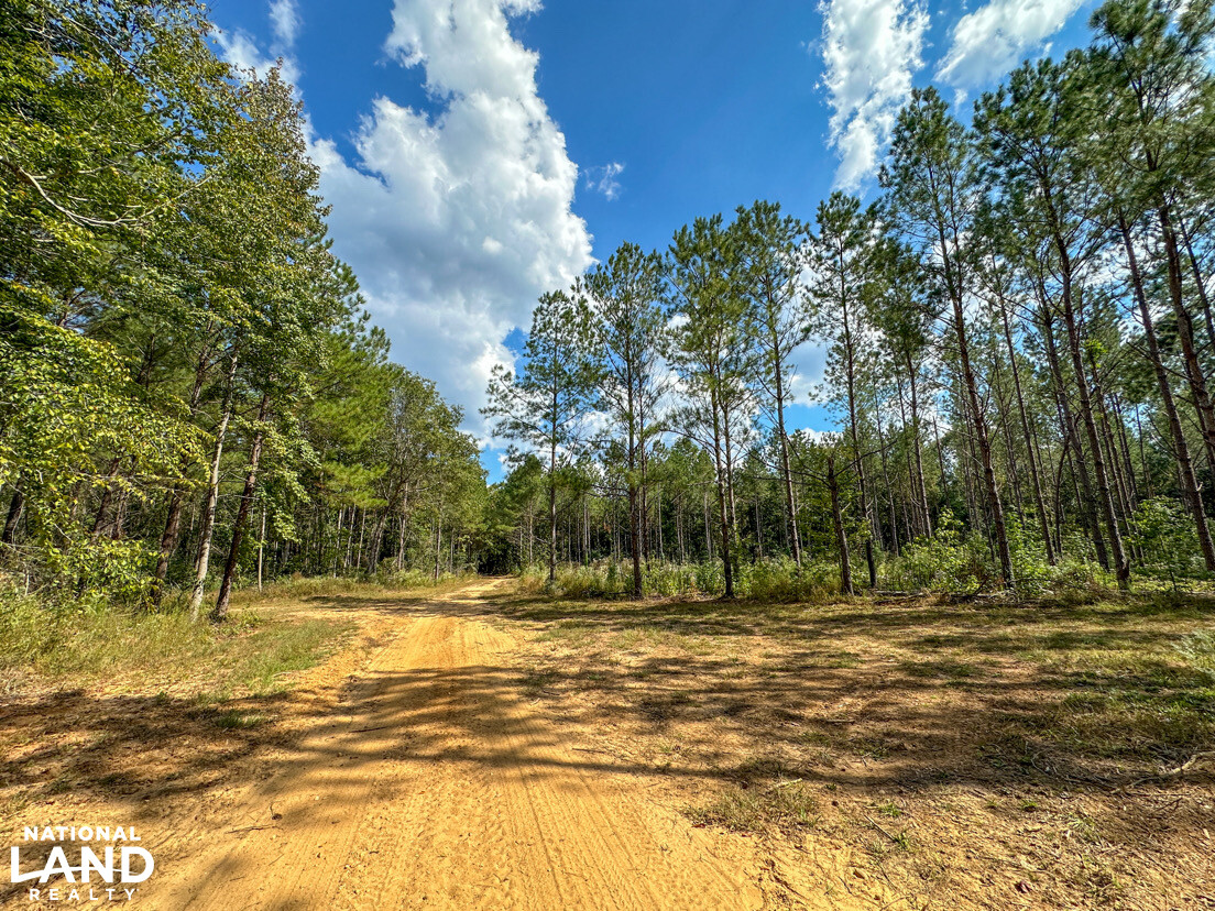 Deer Creek Road Farm, Camp and Timber in Bibb County, AL (68 of 75)