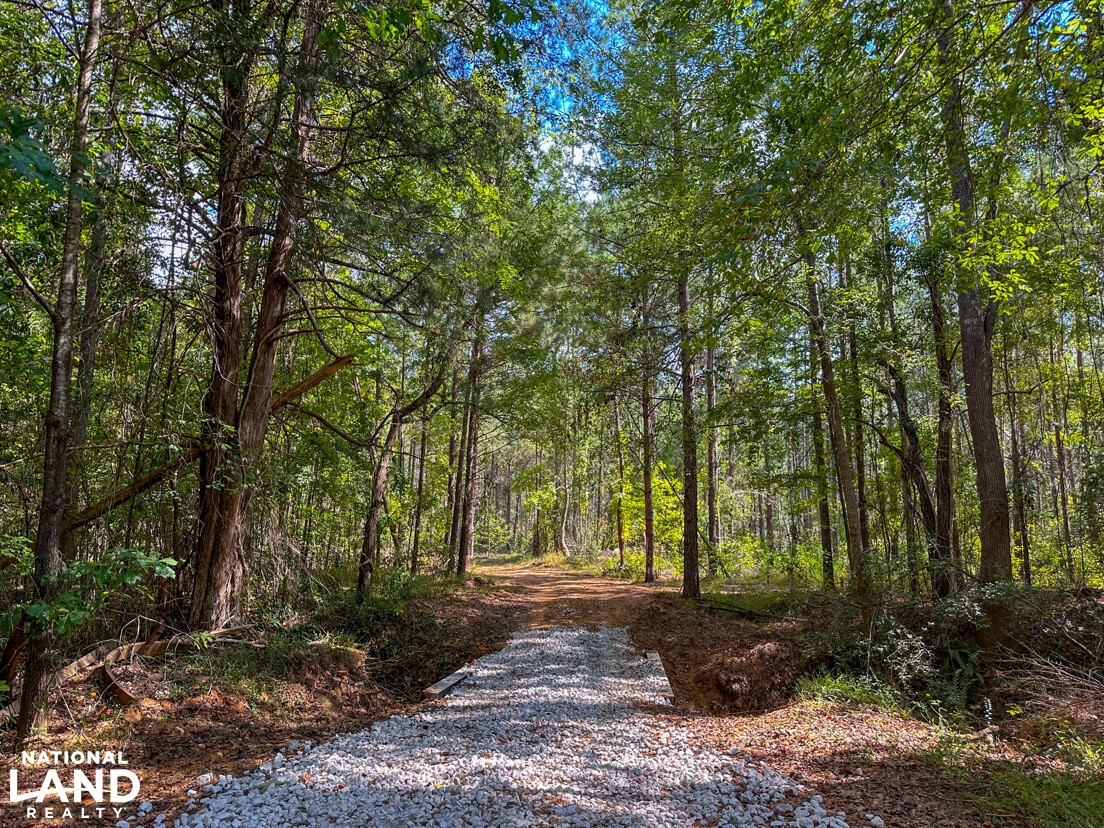 Deer Creek Road Farm, Camp and Timber in Bibb County, AL (27 of 75)