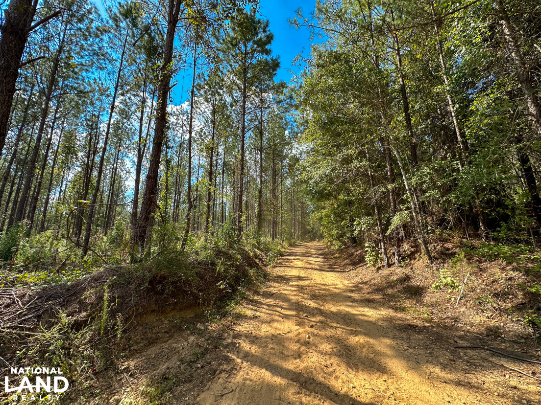 Deer Creek Road Farm, Camp and Timber in Bibb County, AL (70 of 75)