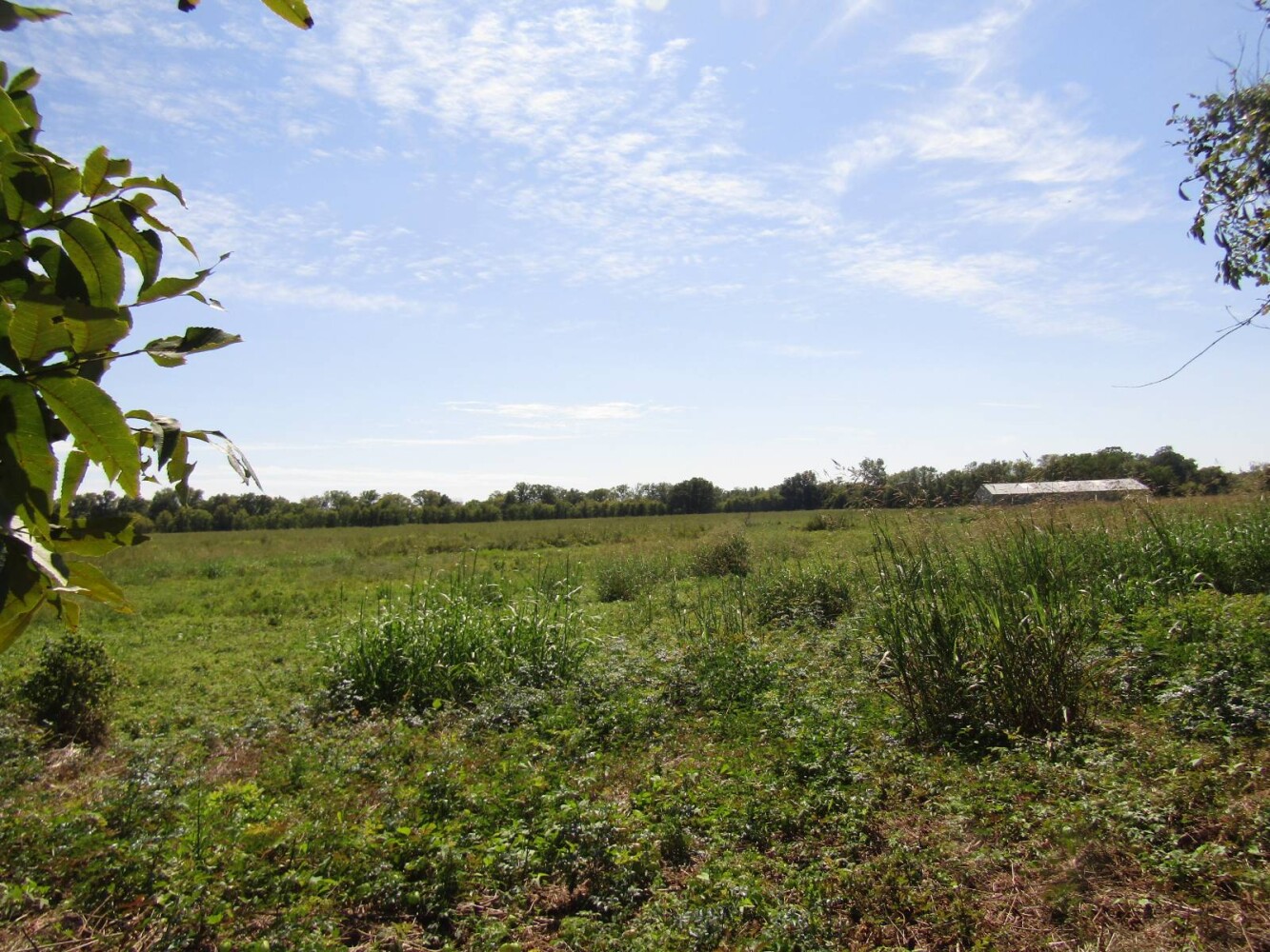 Land for Sale in McCurtain County, OK (75 of 116)