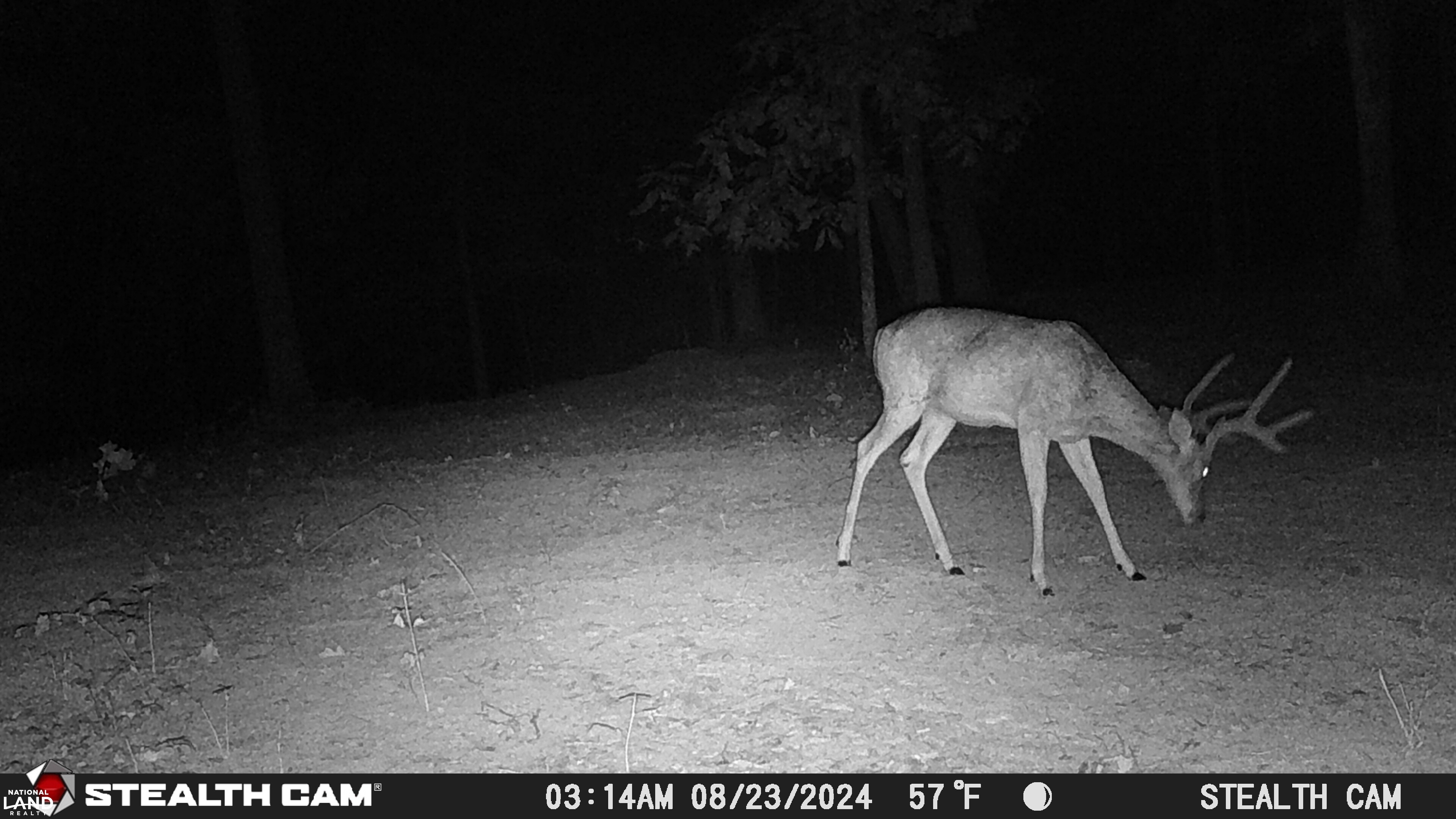 Weekend Deer Camp in Lincoln County, Missouri (77 Photos) | National ...