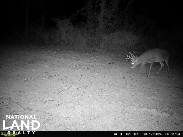 Weekend Deer Camp in Lincoln County, Missouri (77 Photos) | National ...