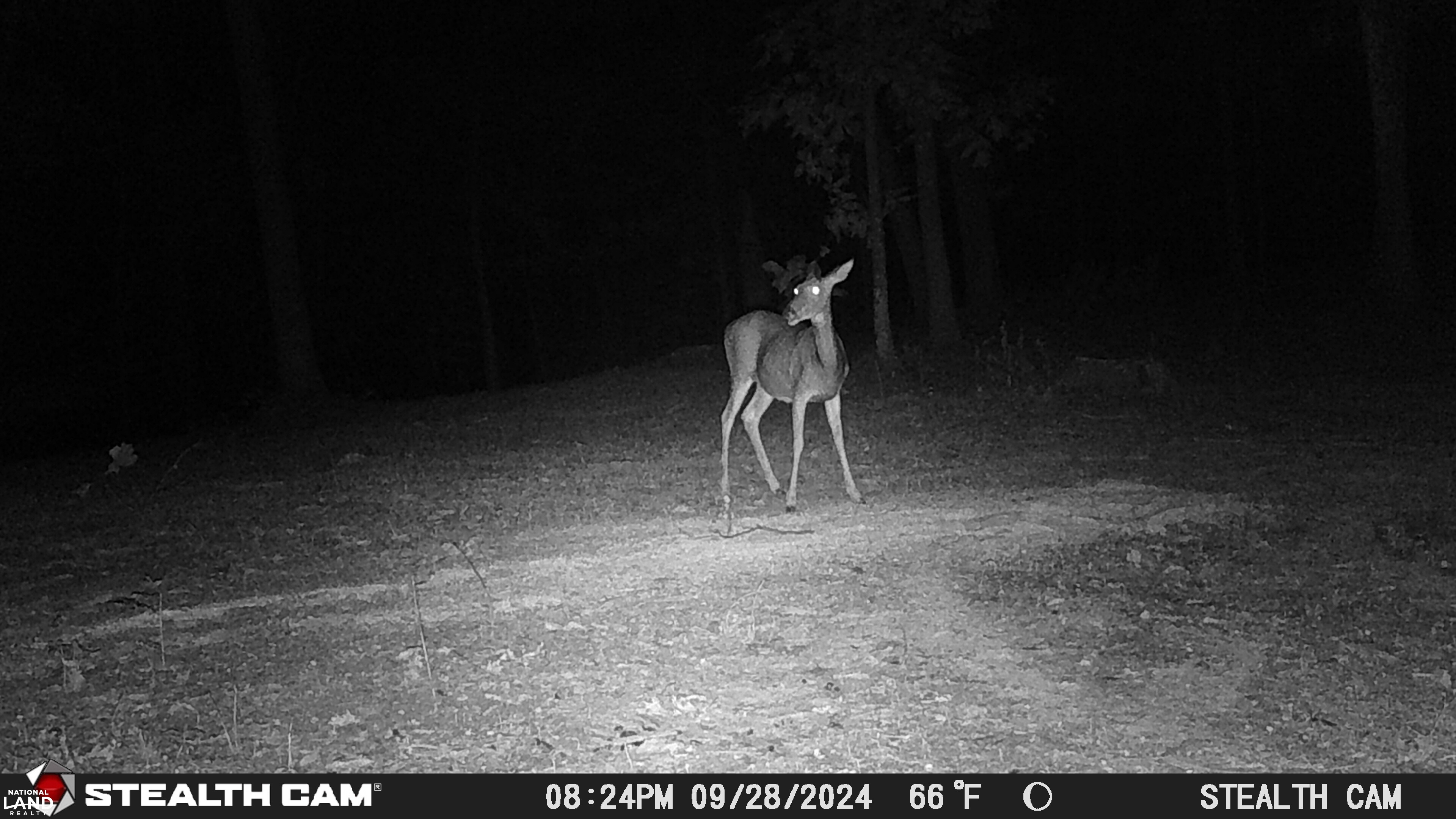 Weekend Deer Camp in Lincoln County, Missouri (77 Photos) | National ...
