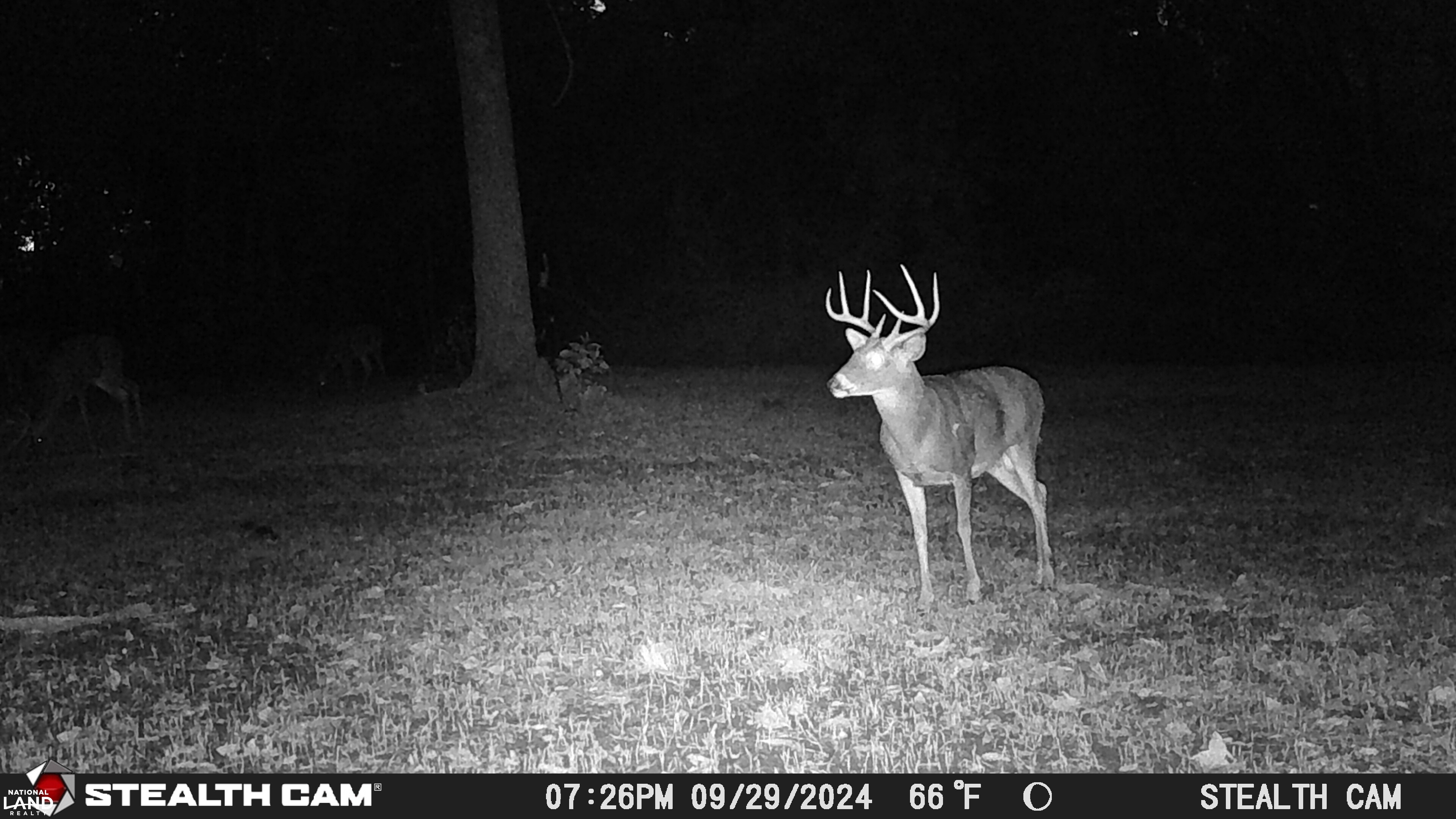 Weekend Deer Camp in Lincoln County, Missouri (77 Photos) | National ...