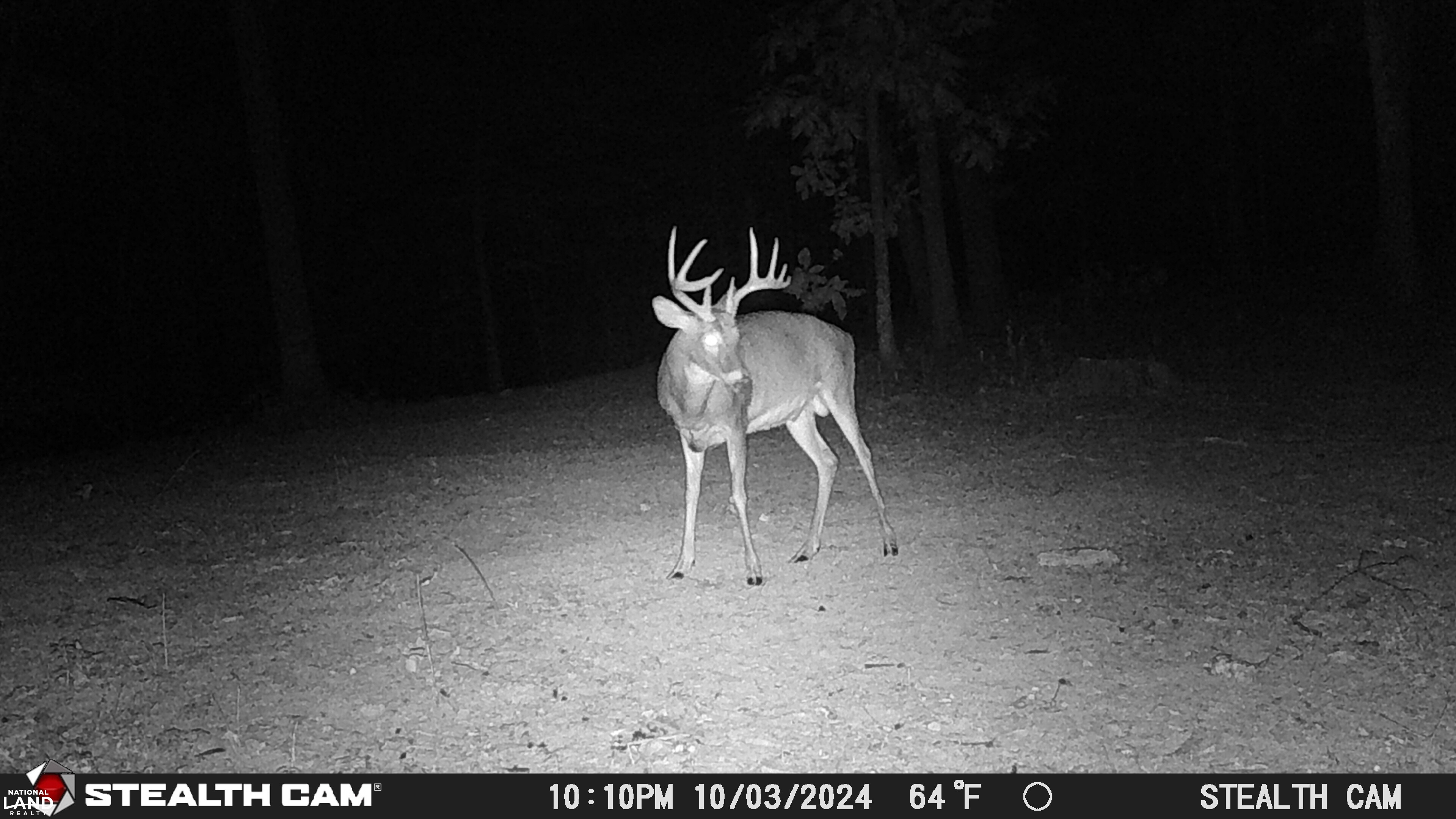 Weekend Deer Camp in Lincoln County, Missouri (77 Photos) | National ...