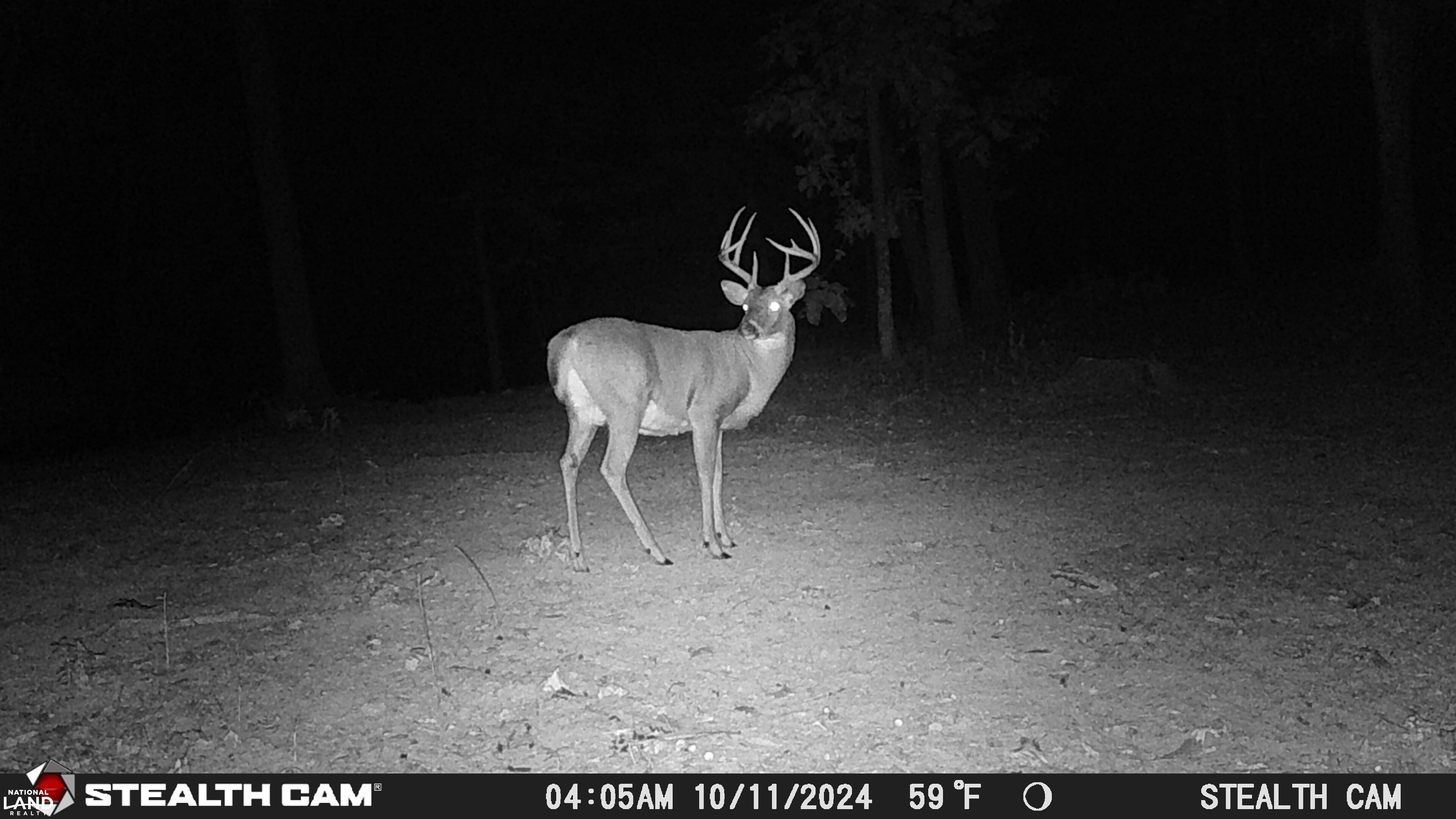 Weekend Deer Camp in Lincoln County, Missouri (77 Photos) | National ...