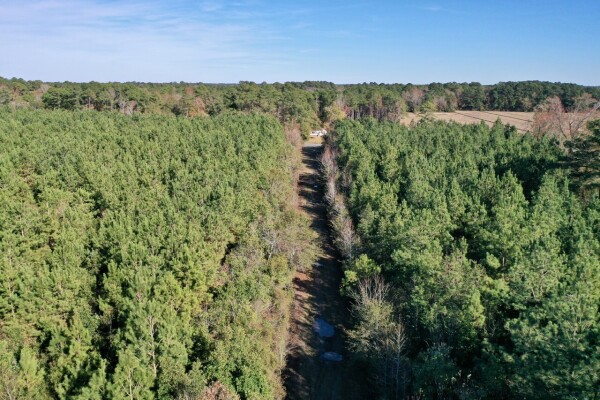 Listing image 13