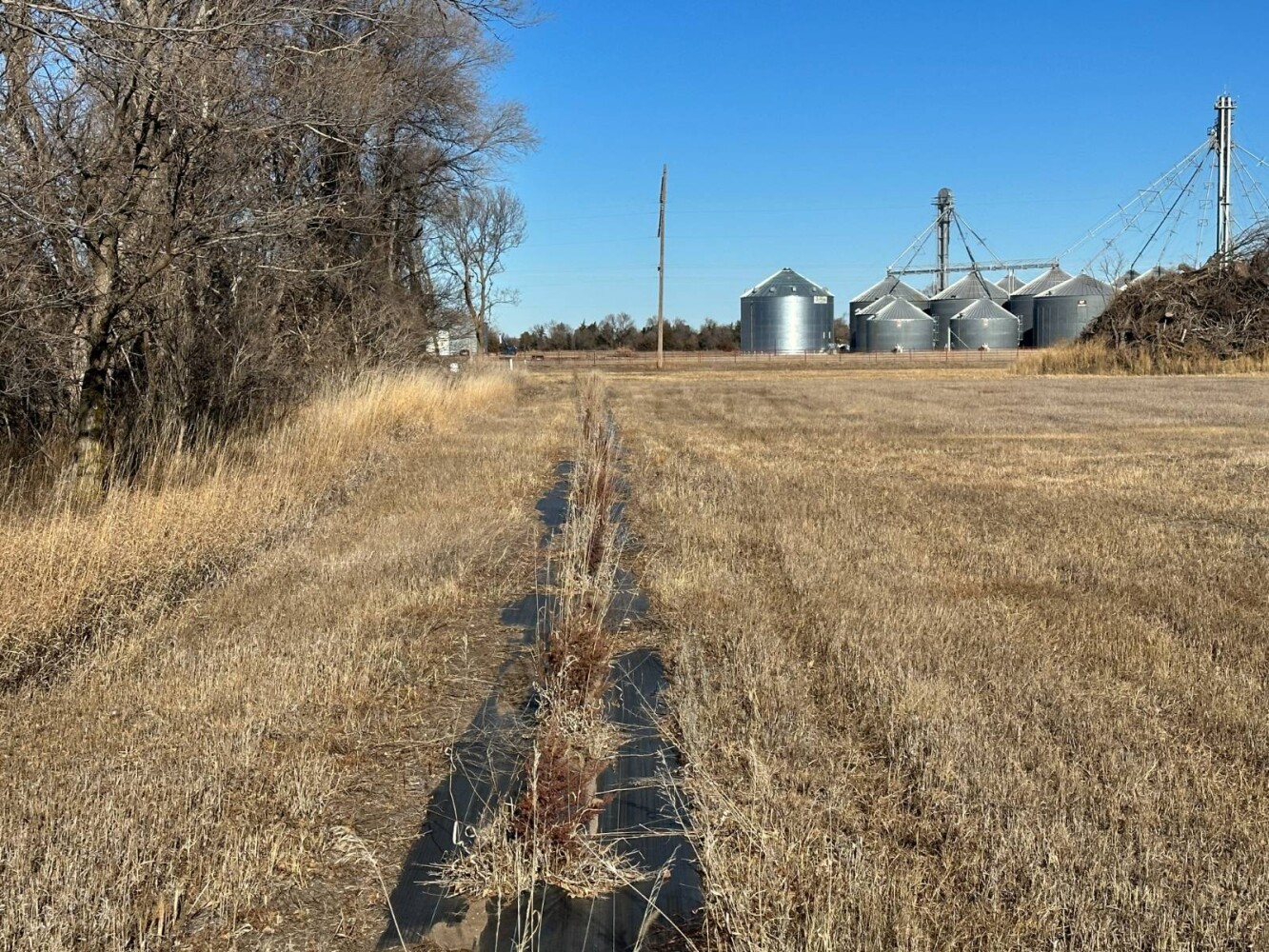 Land for Sale in Holt County, NE (9 of 22)
