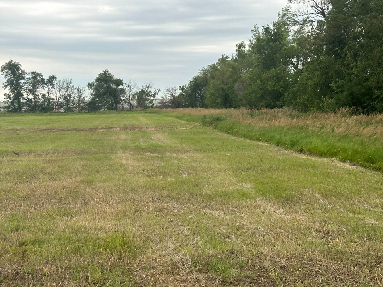 Land for Sale in Holt County, NE (10 of 22)