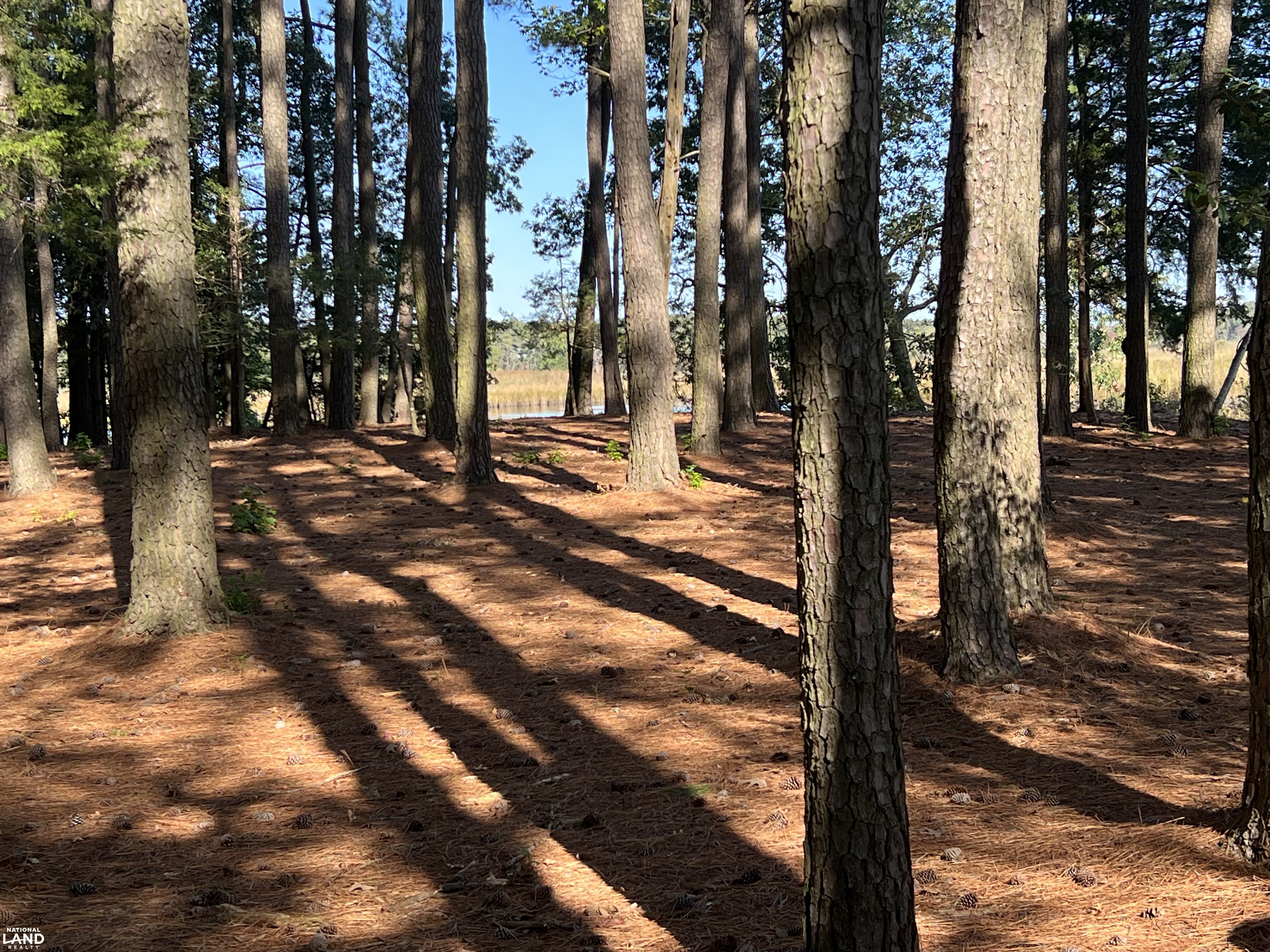 26297 Pitts Creek Road in Accomack County, Virginia (43 Photos ...