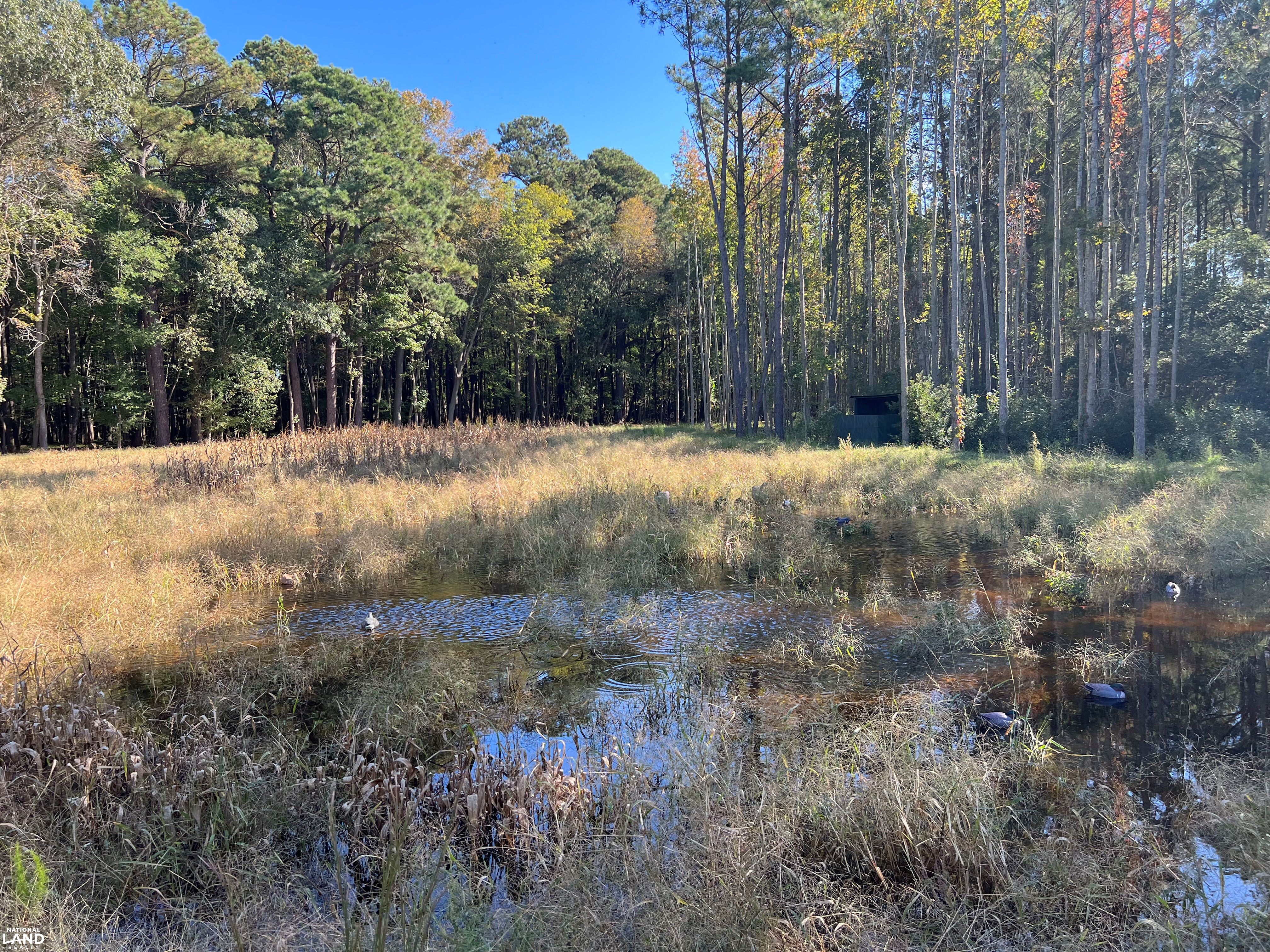 26297 Pitts Creek Road in Accomack County, Virginia (43 Photos ...