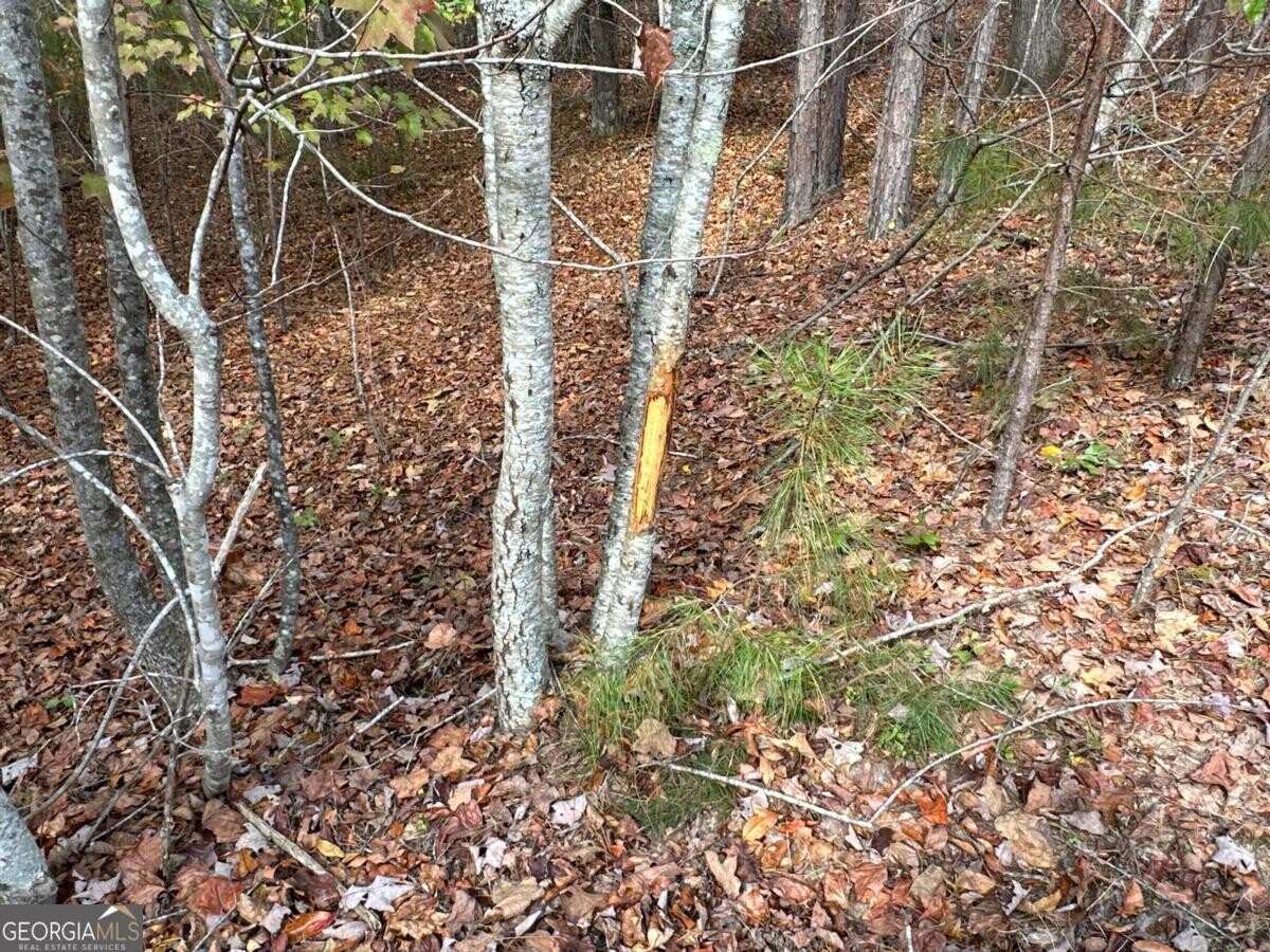 Land for Sale in Polk County, GA (4 of 88)