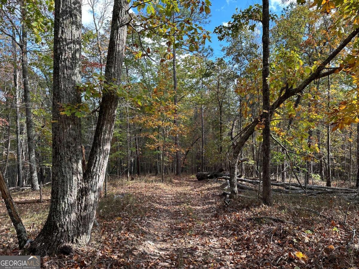 Land for Sale in Polk County, GA (9 of 88)