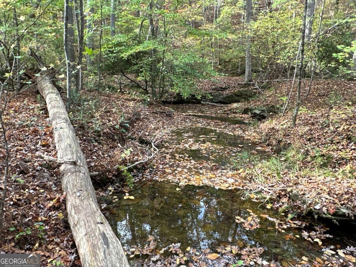 Land for Sale in Polk County, GA (10 of 88)