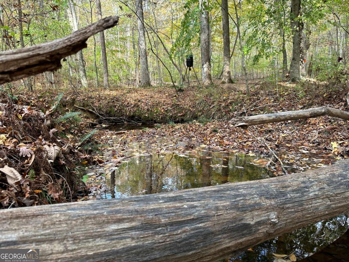 Land for Sale in Polk County, GA (11 of 88)