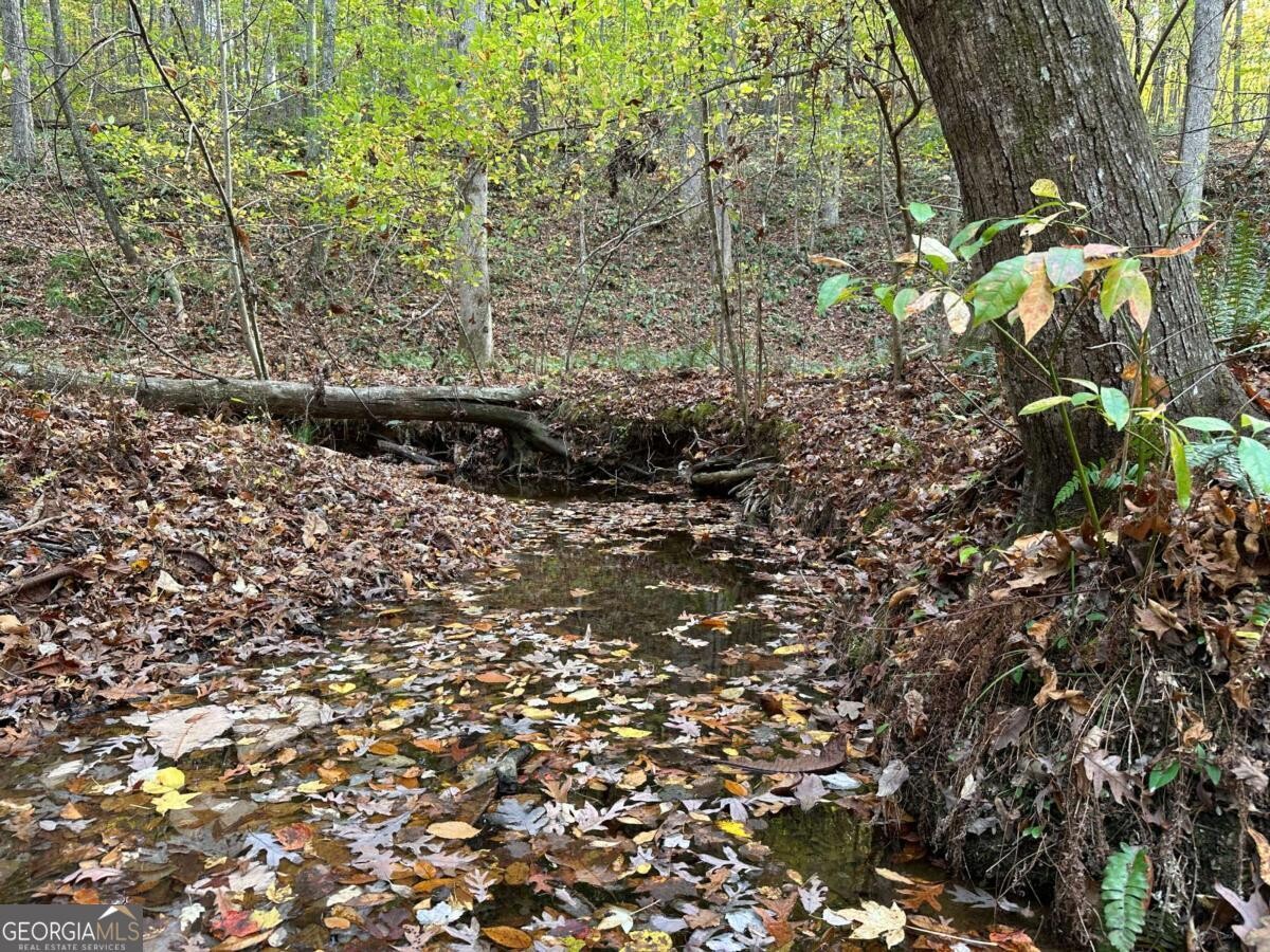 Land for Sale in Polk County, GA (12 of 88)