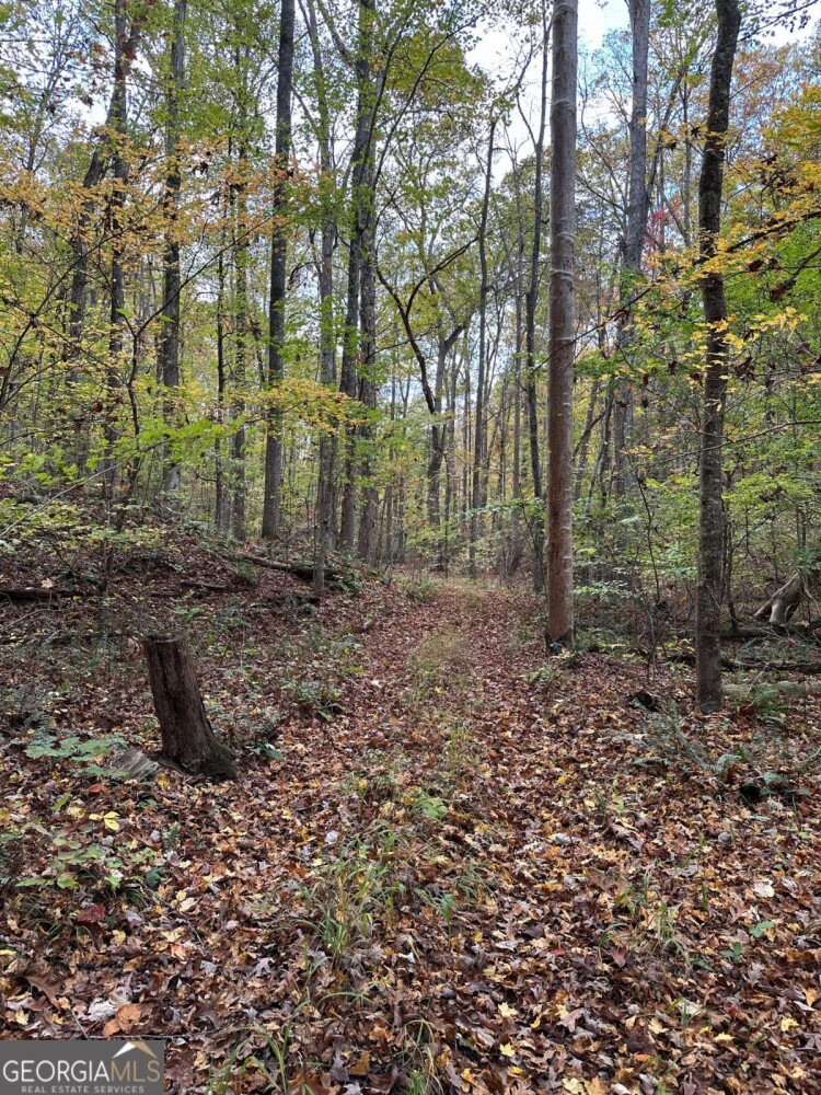 Land for Sale in Polk County, GA (14 of 88)