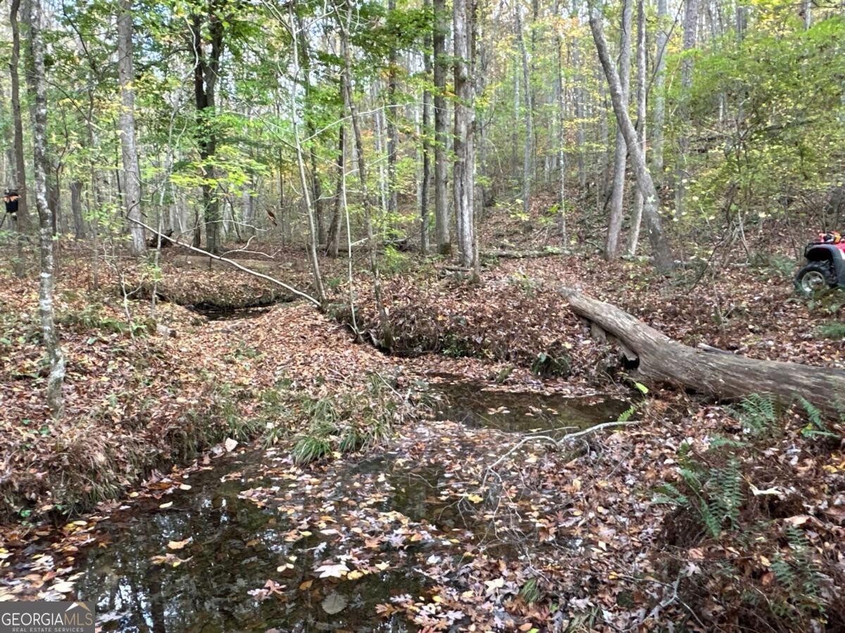 Land for Sale in Polk County, GA (16 of 88)