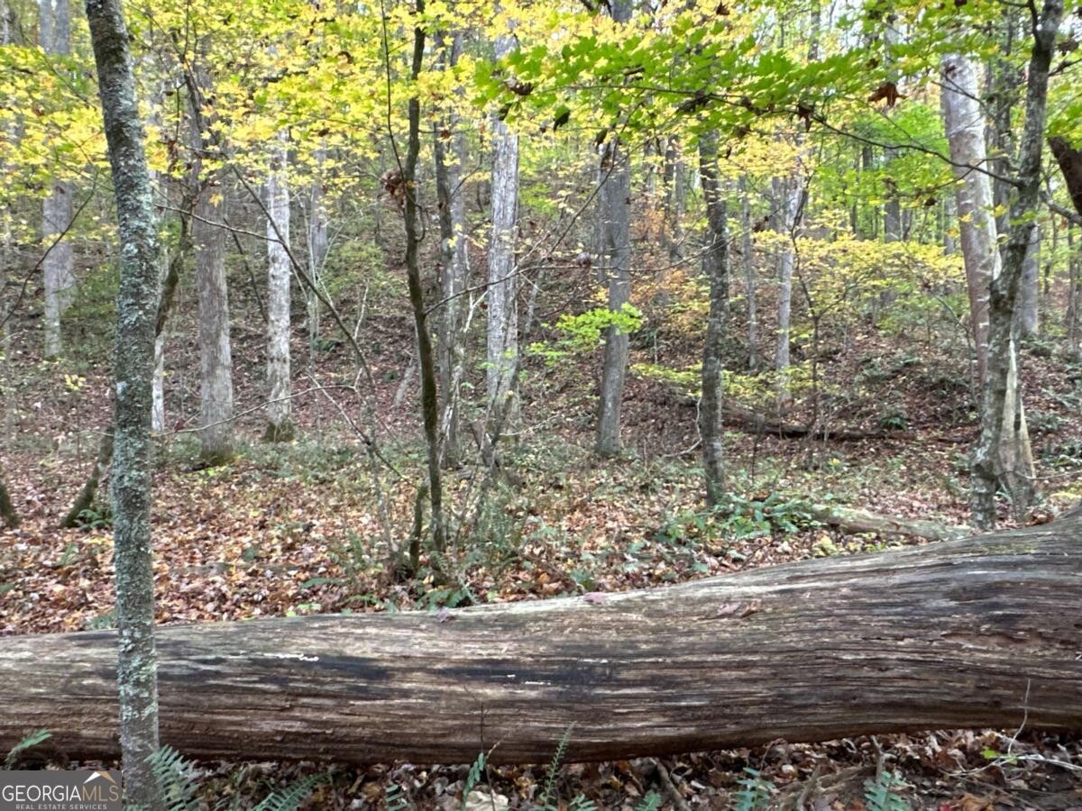 Land for Sale in Polk County, GA (17 of 88)