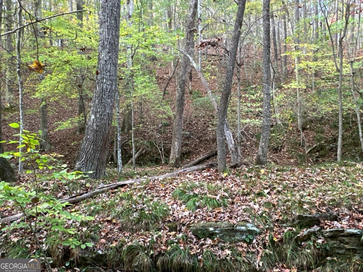 Land for Sale in Polk County, GA (18 of 88)