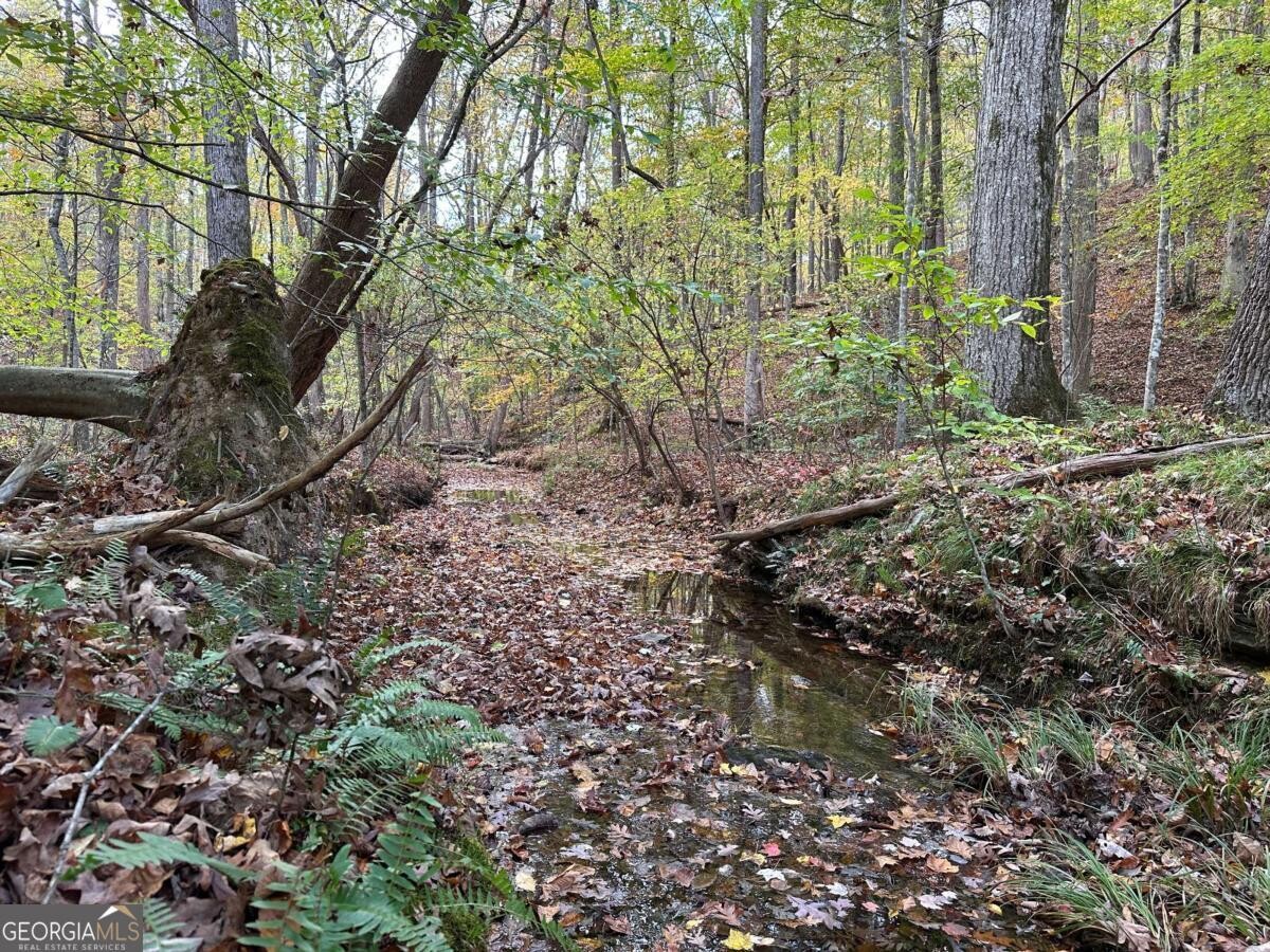 Land for Sale in Polk County, GA (19 of 88)