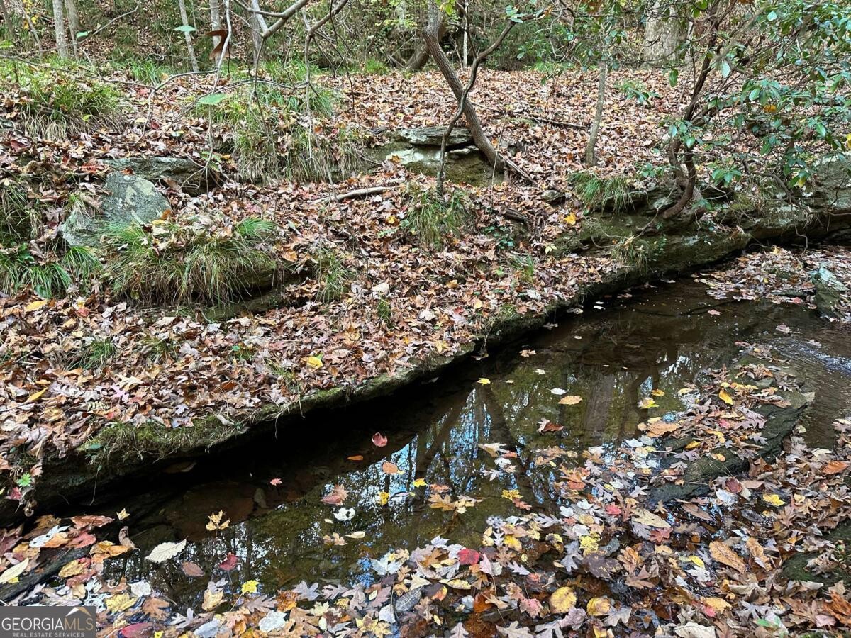 Land for Sale in Polk County, GA (20 of 88)
