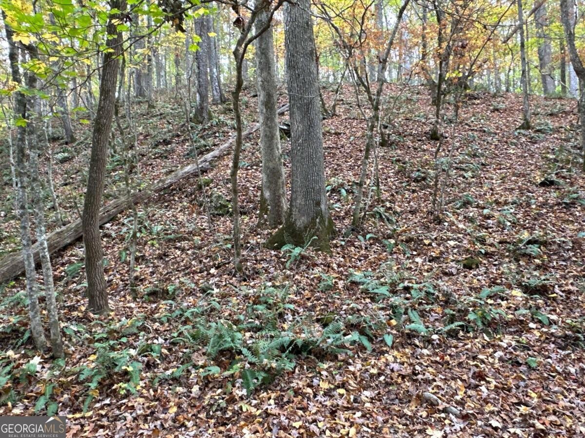 Land for Sale in Polk County, GA (21 of 88)