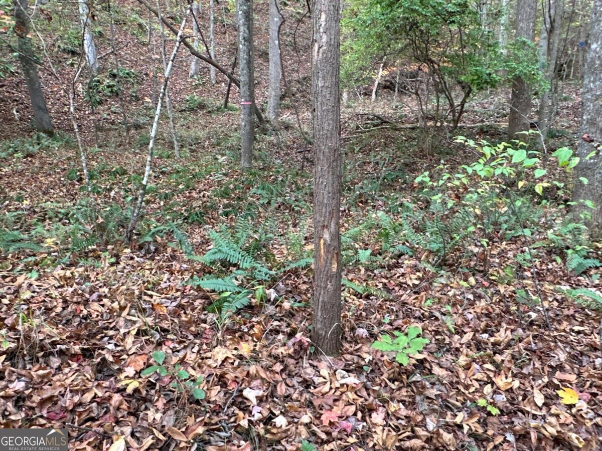 Land for Sale in Polk County, GA (22 of 88)