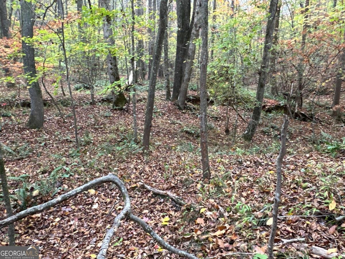 Land for Sale in Polk County, GA (23 of 88)