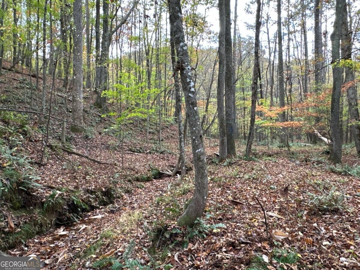 Land for Sale in Polk County, GA (25 of 88)