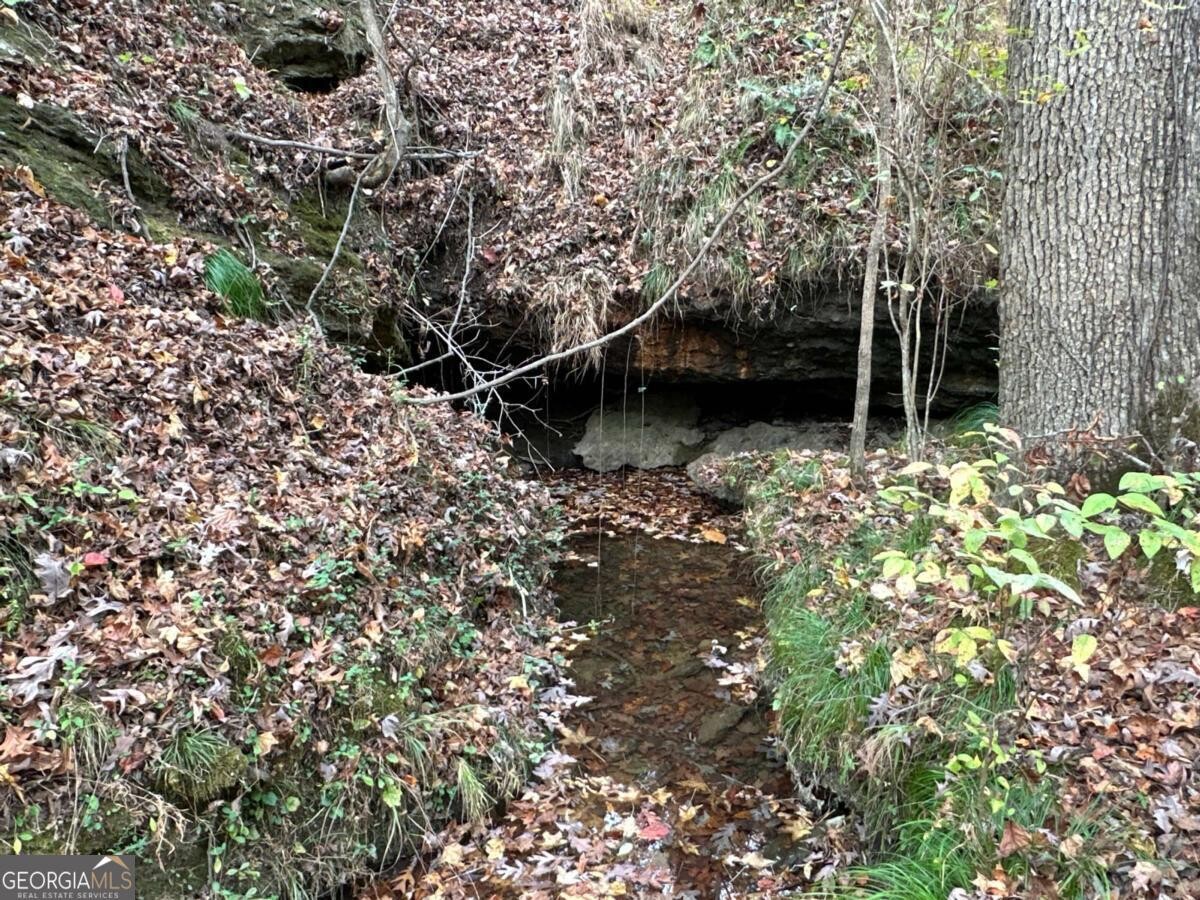 Land for Sale in Polk County, GA (27 of 88)