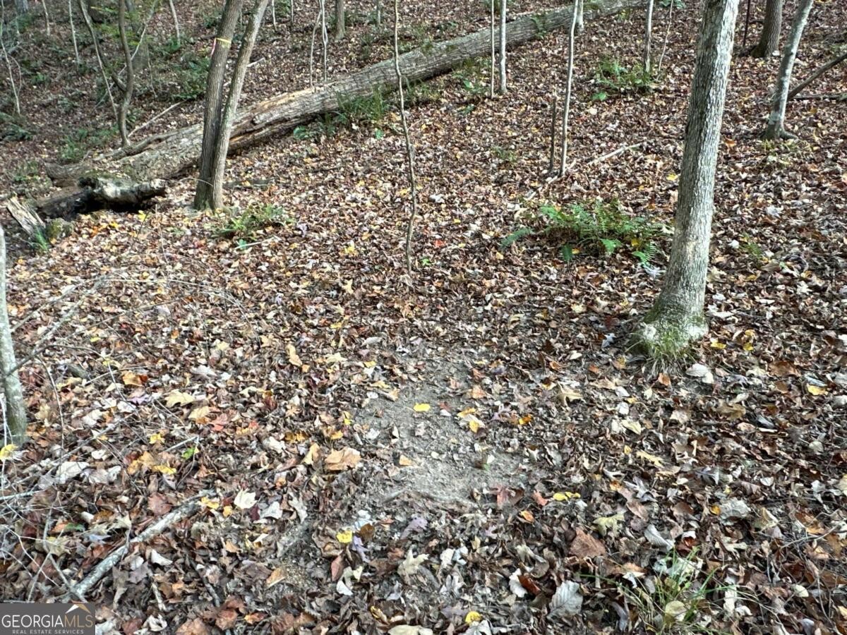Land for Sale in Polk County, GA (28 of 88)