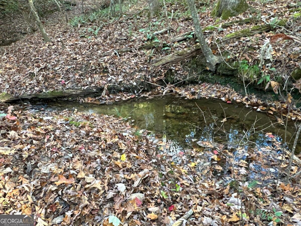 Land for Sale in Polk County, GA (29 of 88)