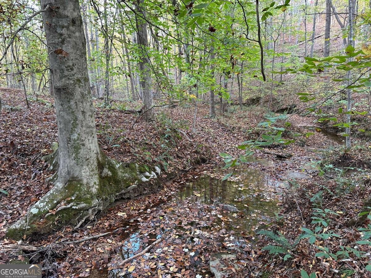 Land for Sale in Polk County, GA (30 of 88)
