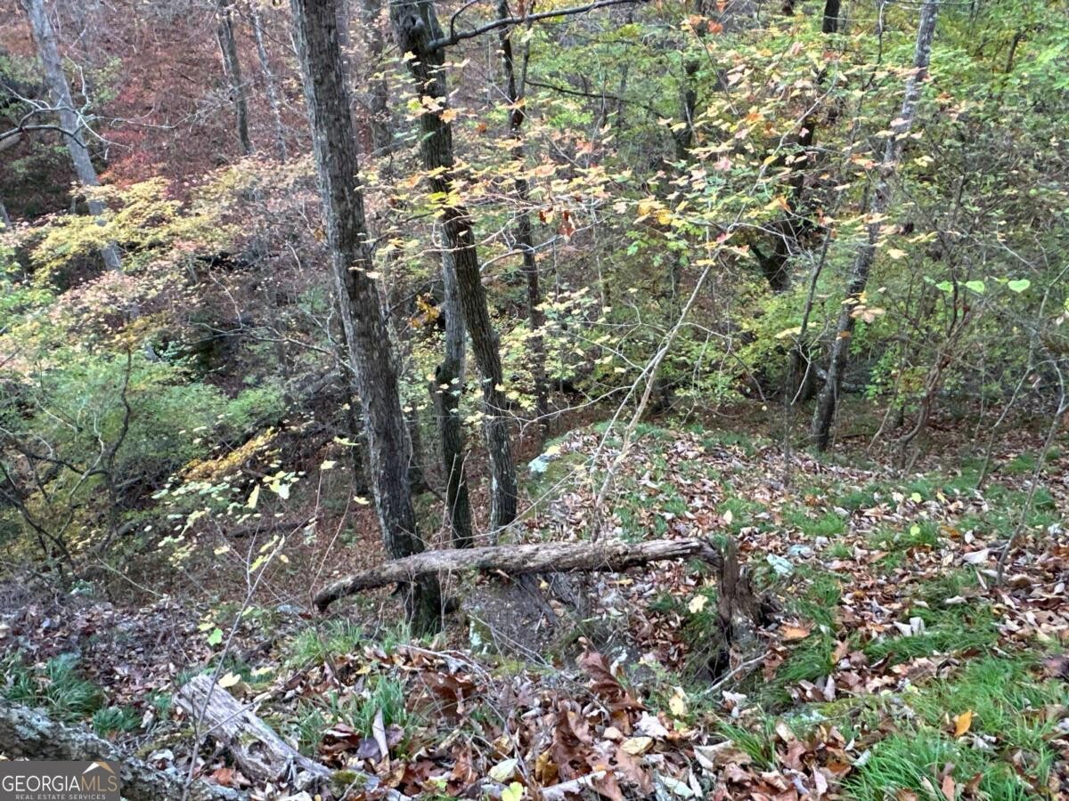 Land for Sale in Polk County, GA (32 of 88)