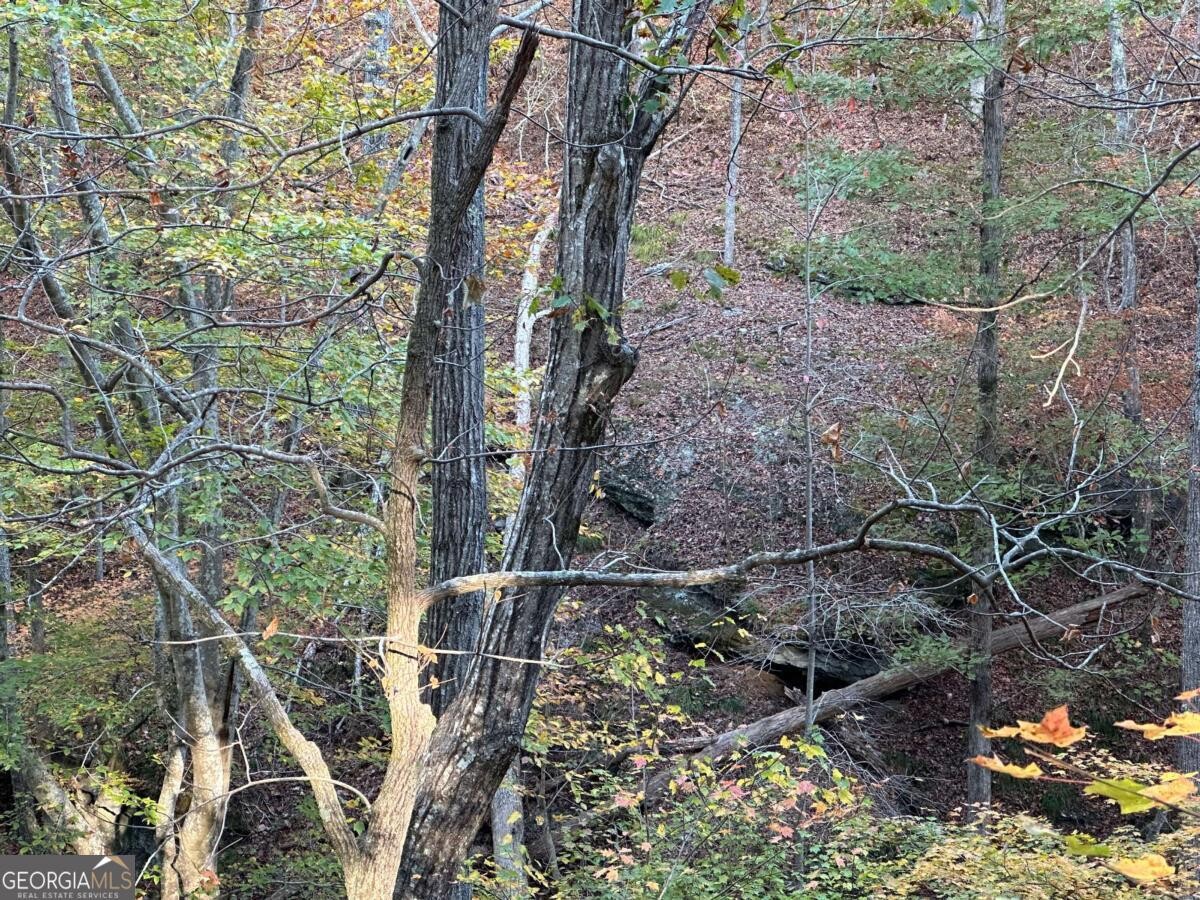 Land for Sale in Polk County, GA (33 of 88)