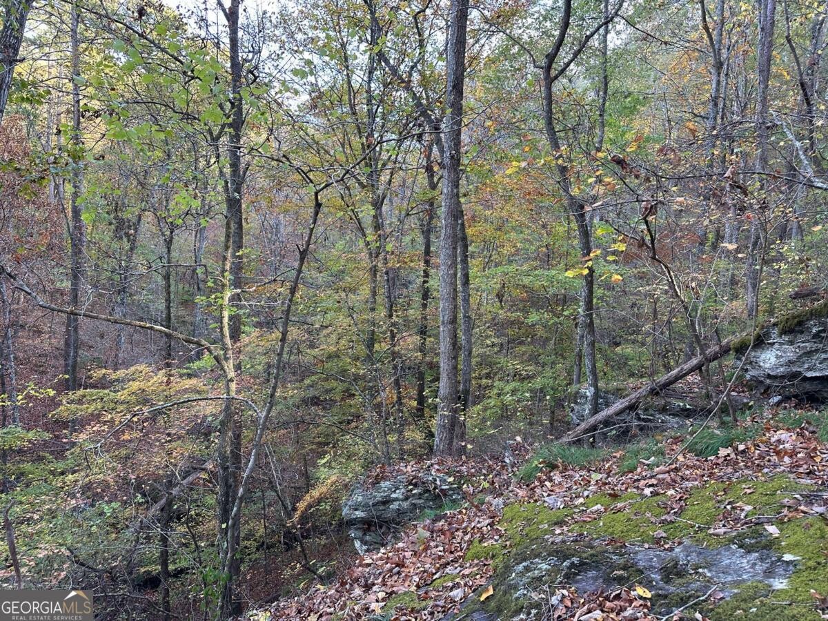 Land for Sale in Polk County, GA (35 of 88)