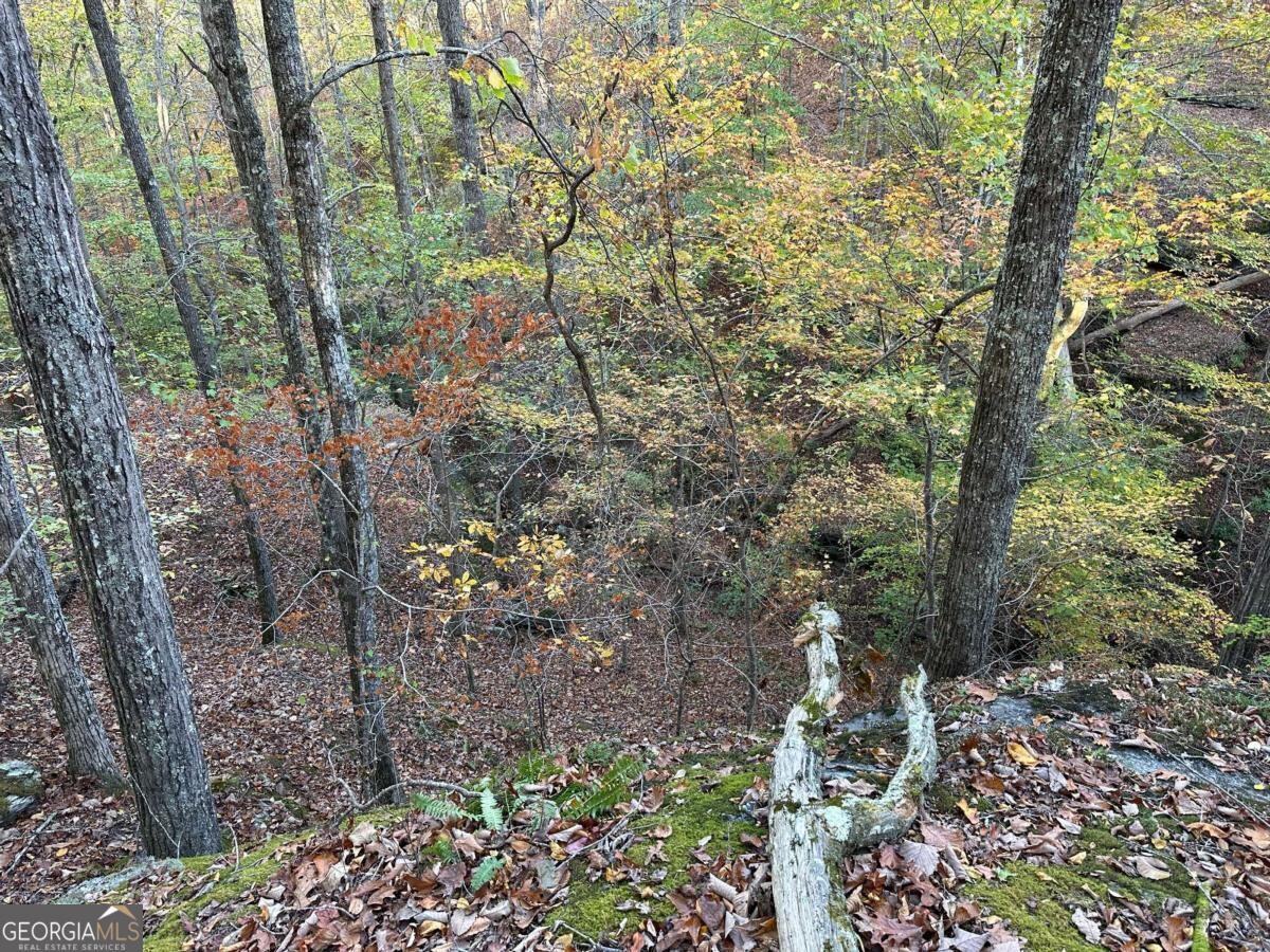 Land for Sale in Polk County, GA (36 of 88)