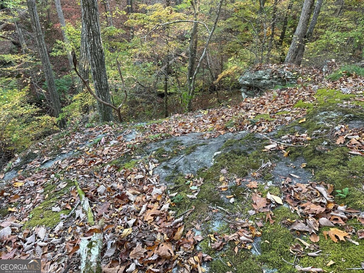 Land for Sale in Polk County, GA (37 of 88)