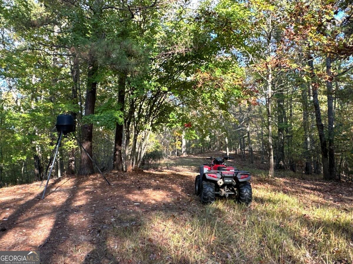 Land for Sale in Polk County, GA (39 of 88)