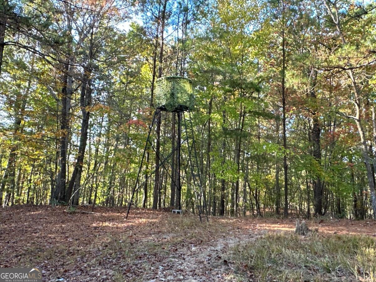 Land for Sale in Polk County, GA (40 of 88)