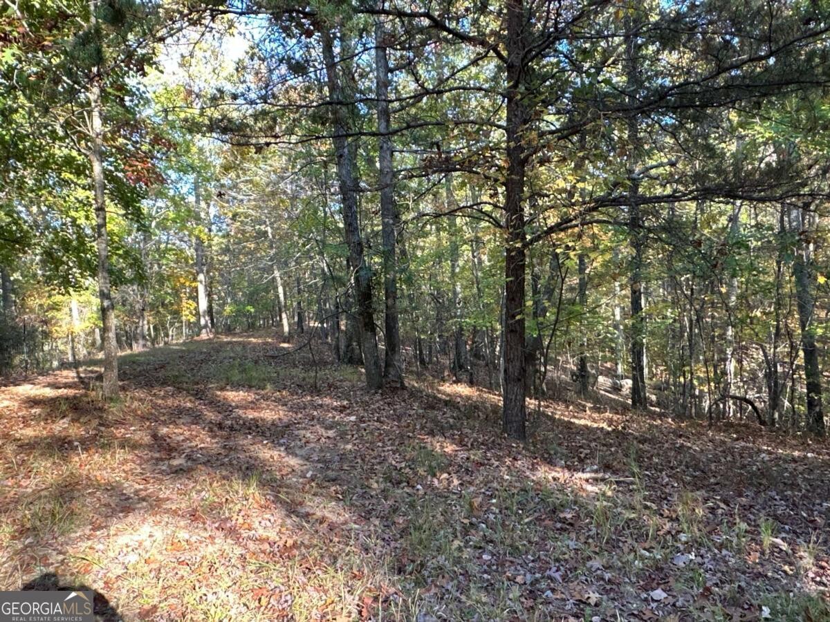 Land for Sale in Polk County, GA (41 of 88)