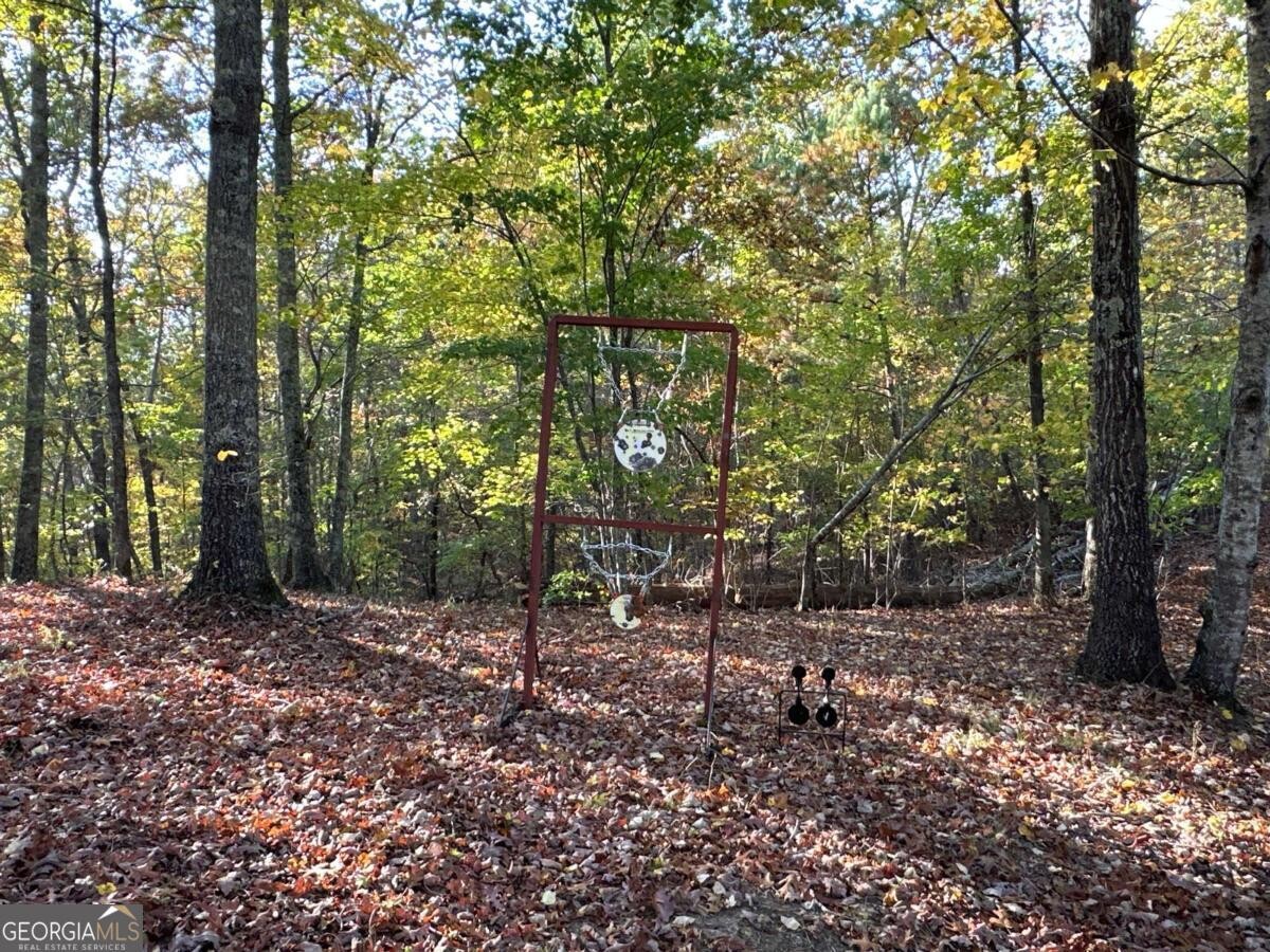 Land for Sale in Polk County, GA (42 of 88)