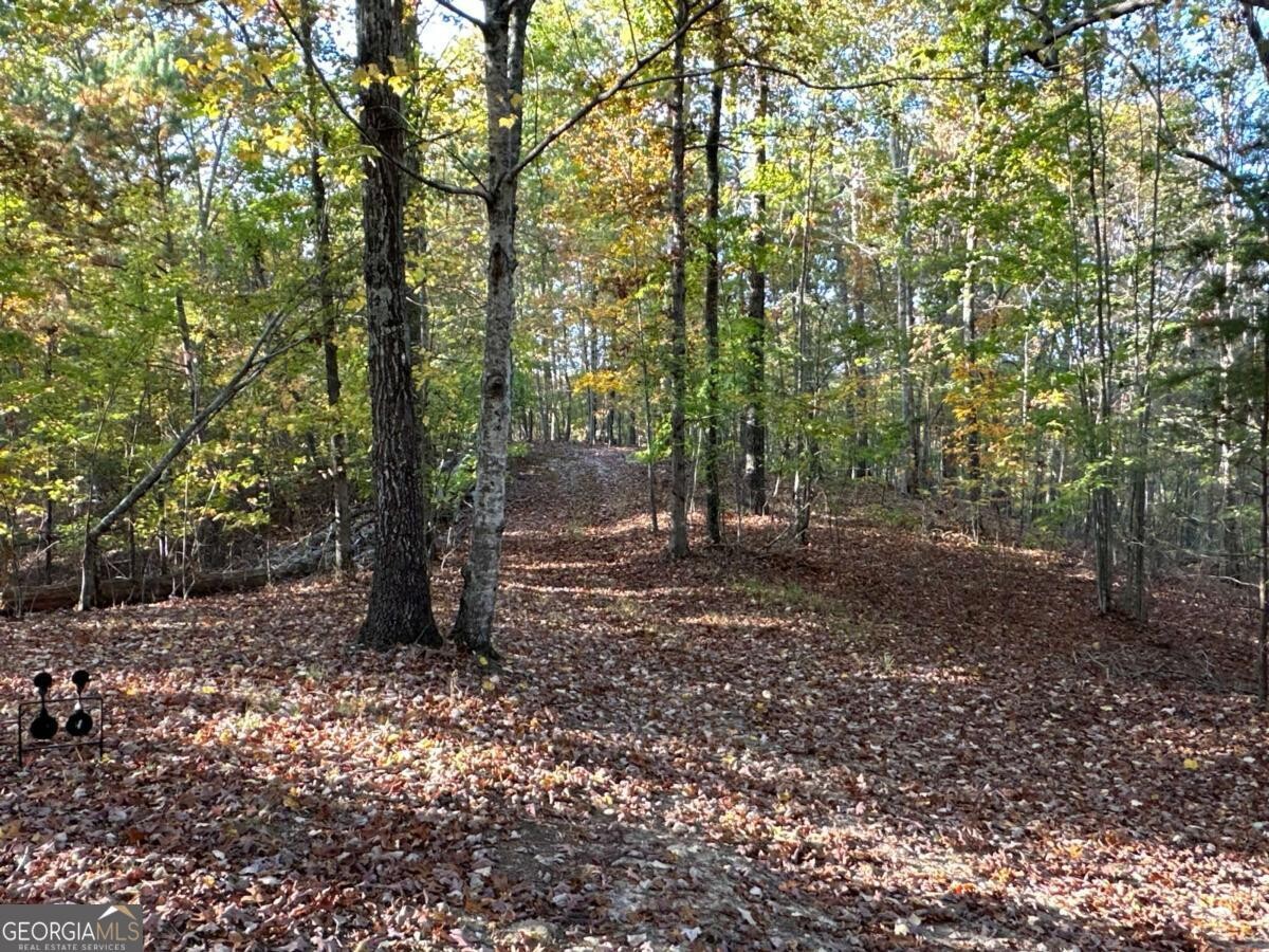 Land for Sale in Polk County, GA (43 of 88)