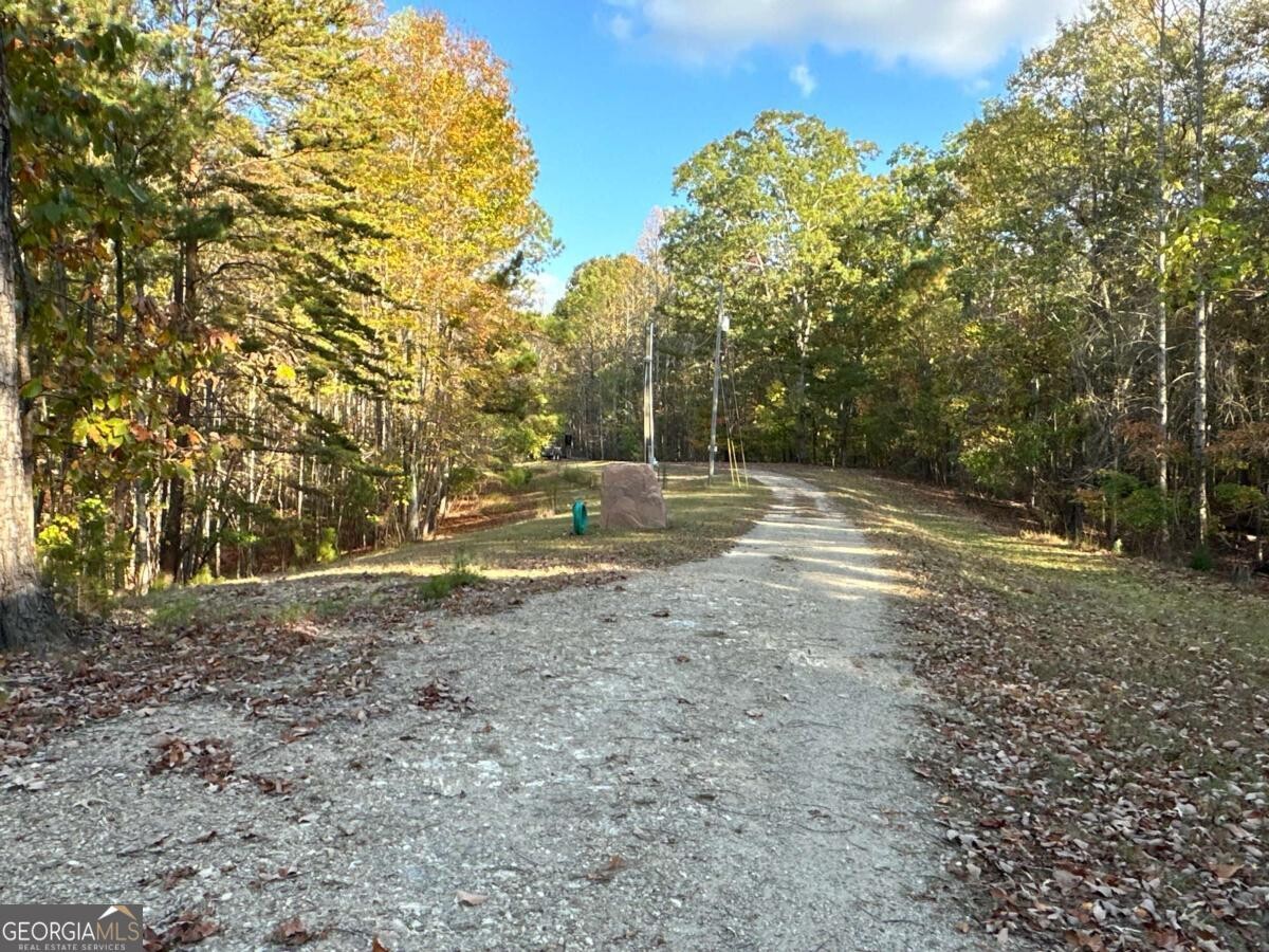 Land for Sale in Polk County, GA (45 of 88)